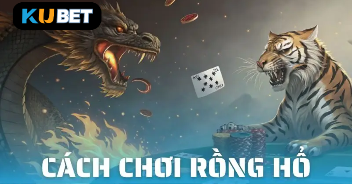 Luật Chơi Rồng Hổ Tại HYTW3596 – Cực Dễ Cho Người Mới